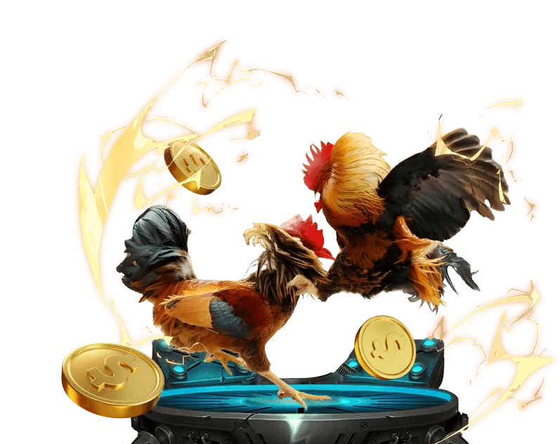 Thưởng nạp lại hàng ngày 55win